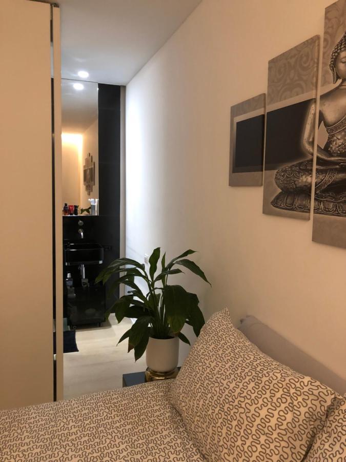 Lux In Historical Center Of Appartement