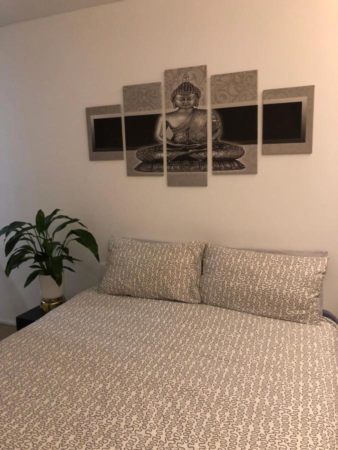 Lux In Historical Center Of Appartement